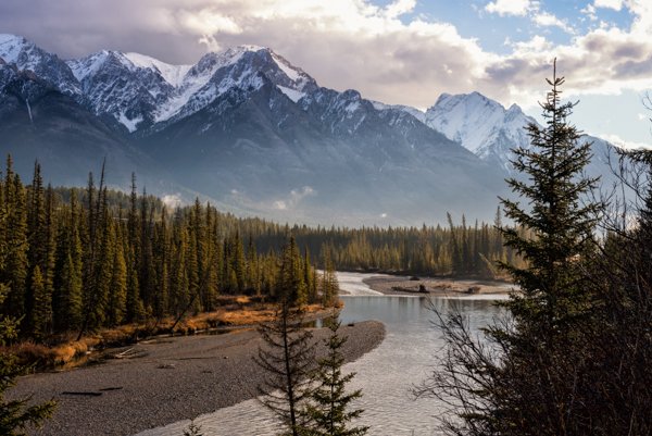 Golden Morning in Banff